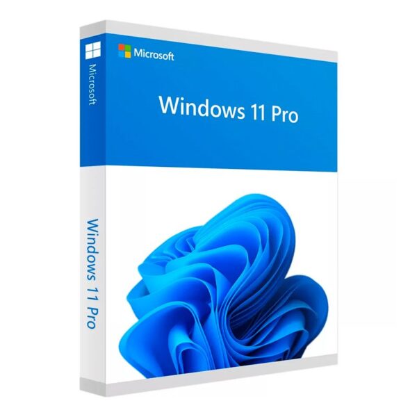 Windows 11 Profesional