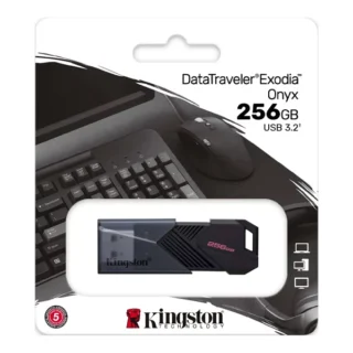 Memoria USB Kingston 256GB